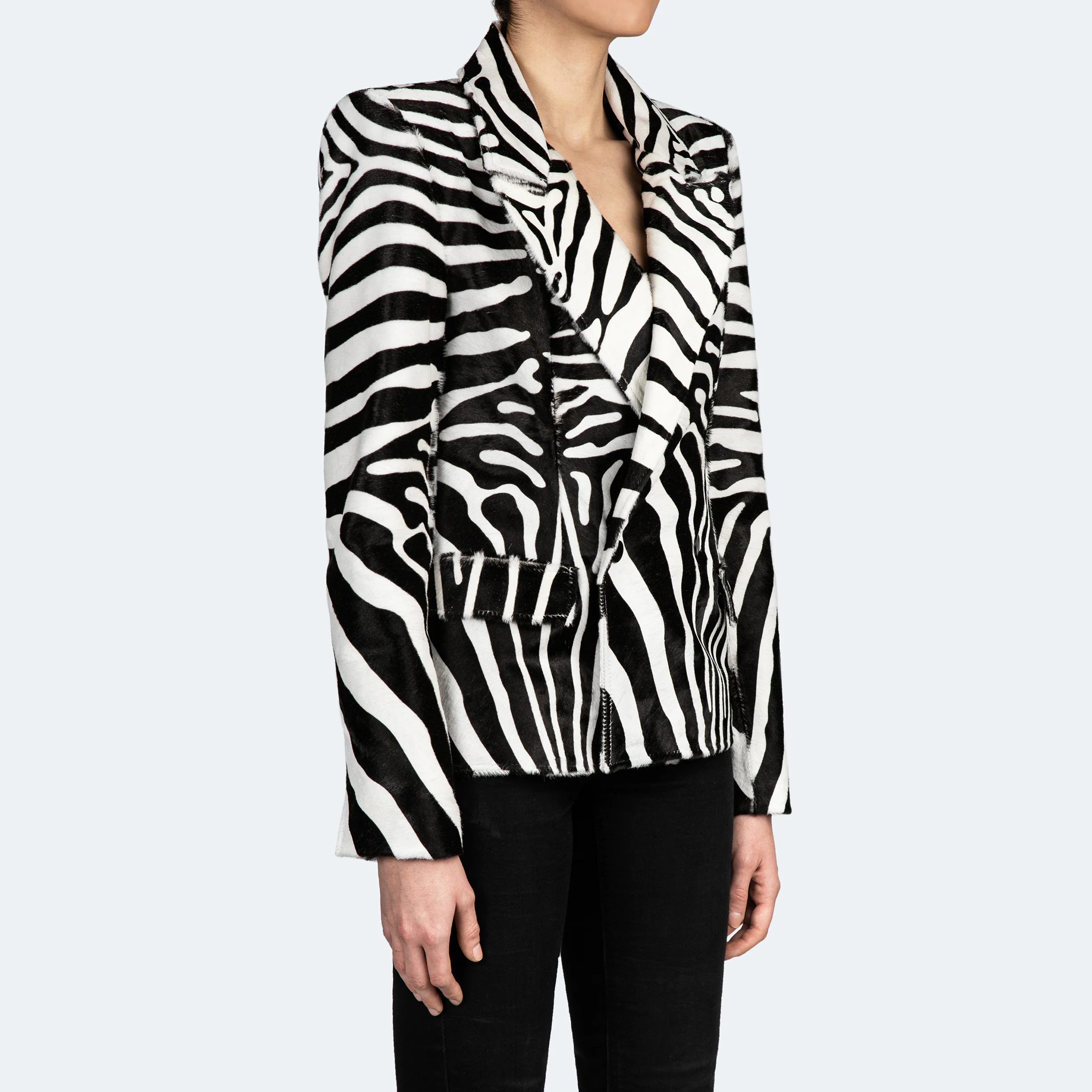 The Kamala Zebra - Image 3